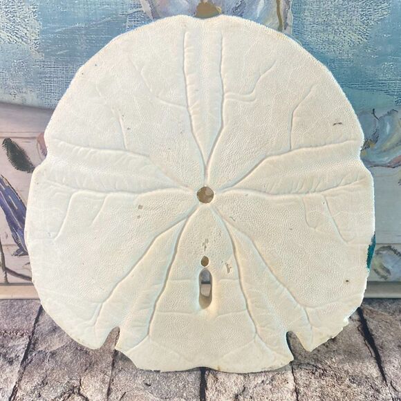 Hand Painted Sand Dollar Beach Decor Lighthouse Ocean Artwork Nautical - Picture 2 of 2